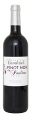 Vignobles Cambriel - Pinot Noir De Pauline