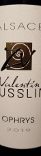 Valentin Zusslin & fils - Ophrys