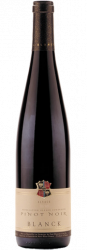 Pinot noir - Paul Blanck & Fils - 2020 - Rouge