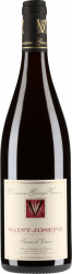 Terres D'encre - Domaine Georges Vernay - 2010 - Rouge