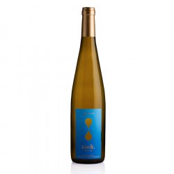 Riesling - Domaine ZINK - 2015 - Blanc