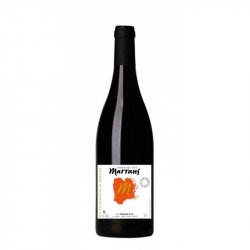 Beaujolais Vieilles Vignes - Domaine des Marrans - 2017 - Rouge