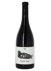 Pinot Noir - Domaine de la Mongestine - 2017 - Rouge