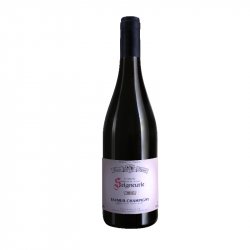 Saumur Champigny - Domaine de la Seigneurie - 2016 - Rouge