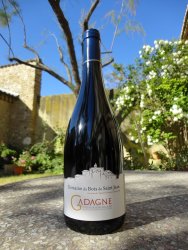 Comte d'Ust - Domaine du Bois de Saint Jean - 2016 - Rouge