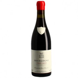 Bourgogne Pinot Noir - Domaine Paul Pillot - 2016 - Rouge