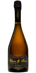 Ebène & Sens • 100% Pinot Noir • Soléra Mono-Parcellaire - Champagne Marcel Deheurles et Fils - Non millésimé - Effervescent