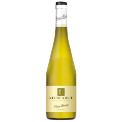 Muscadet - Pierre Brévin - 2020 - Blanc