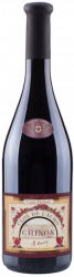 Clos de l'Echo - Couly-Dutheil - 2013 - Rouge