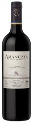 Amancaya - Domaines Barons de Rothschild - Bodegas Caro - 2013 - Rouge