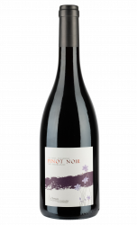 Bourgogne Pinot Noir - Domaine de Champ-Fleury - 2020 - Rouge