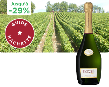 Champagnes d’exception à moins de 20€​​ ! Boulachin Chaput