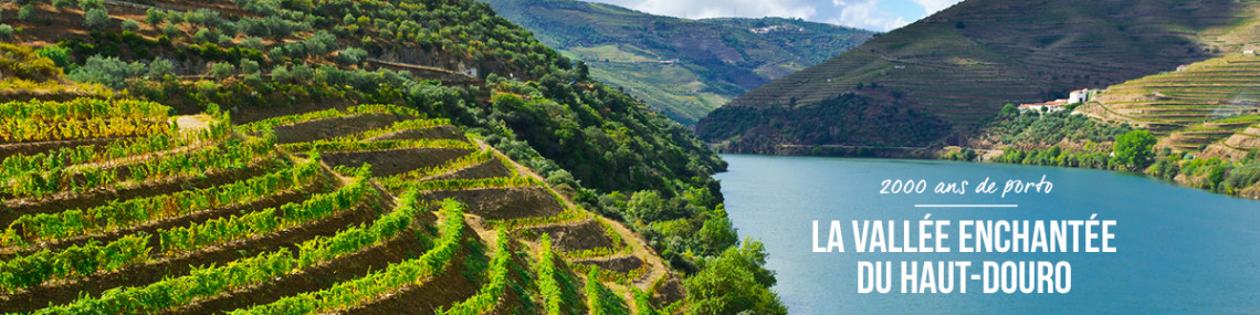 O néctar do Vale do Douro