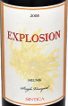 Explosion Melnik