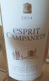 Esprit Campanets
