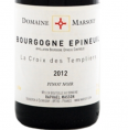 Bourgogne Epineuil - Croix des templiers
