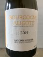 Bourgogne Aligoté