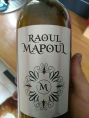 Raoul Mapoul