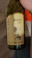 Savagnin