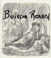 Buisson Renard