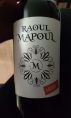 Raoul Mapoul