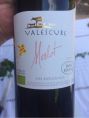 Merlot Vin Biologique