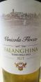 Falanghina