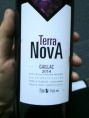 Terra Nova