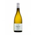 Carignan Blanc
