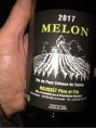 Melon