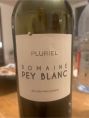 Pluriel