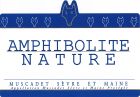 Amphibolite