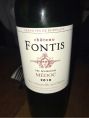 Château Fontis