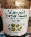 Muscadet Sèvre et Maine