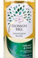 Blossom Hill Sauvignon