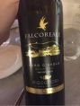 Falcoreale
