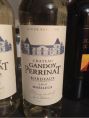 Château Gandoy Perrinat - Sauvignon