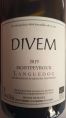 DIVEM