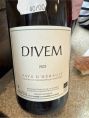 DIVEM